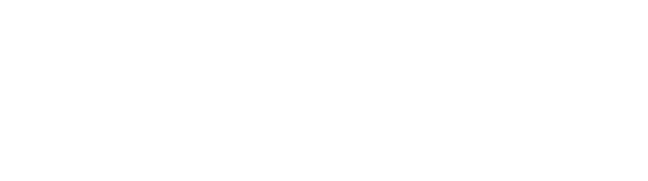 Professional Telecommunication Incorporation